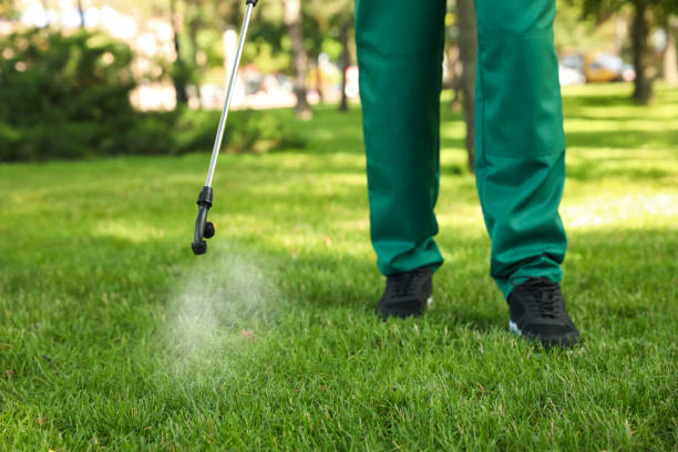 Best Pest Prevention Services  in Hazen, AR