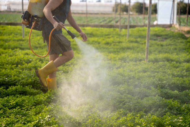 Best Pest Removal Services  in Hazen, AR