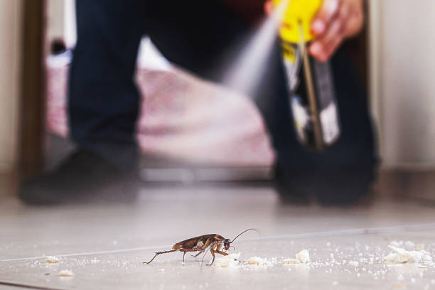 Best Best Pest Control Companies  in Hazen, AR