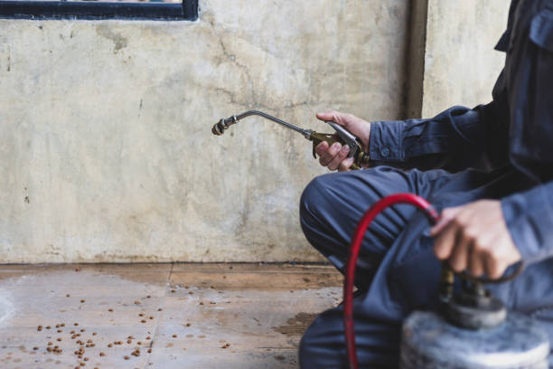 Best Best Pest Control Companies  in Hazen, AR